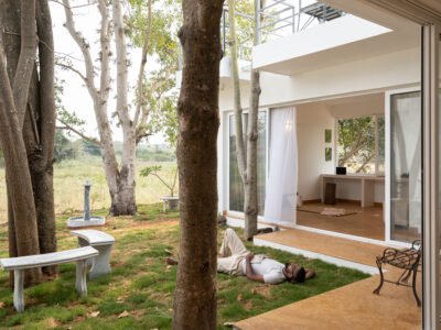 Locale House of Trees