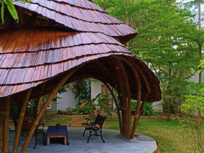 Locale House of Trees