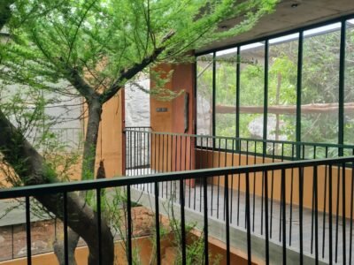 Locale Rooftop Pool Escape