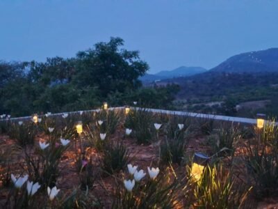 Locale Hilltop Home