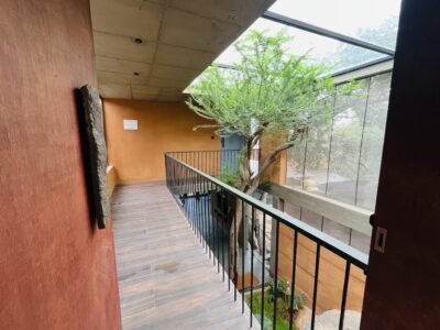 Locale Rooftop Pool Escape